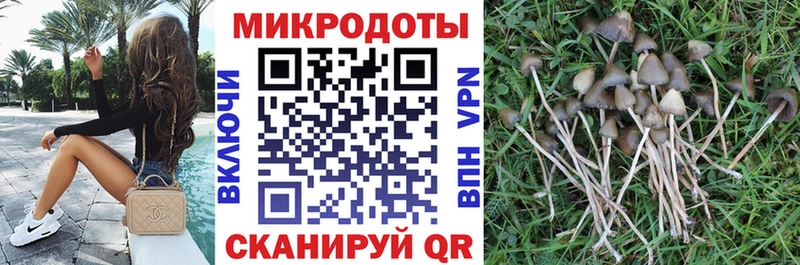 даркнет сайт  MEGA рабочий сайт  Псилоцибиновые грибы Magic Shrooms  Богородск 